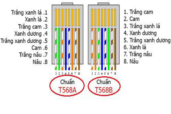 Hướng dẫn bấm dây mạng theo đúng chuẩn